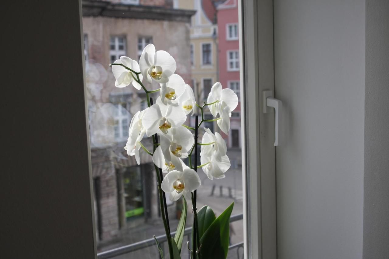 Апартаменты Apartamenty Gdańsk Гданьск-5