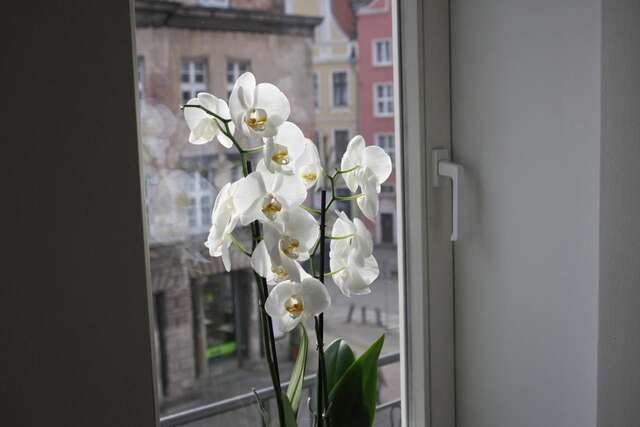 Апартаменты Apartamenty Gdańsk Гданьск-4